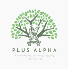 合同会社プラスαの代表画像